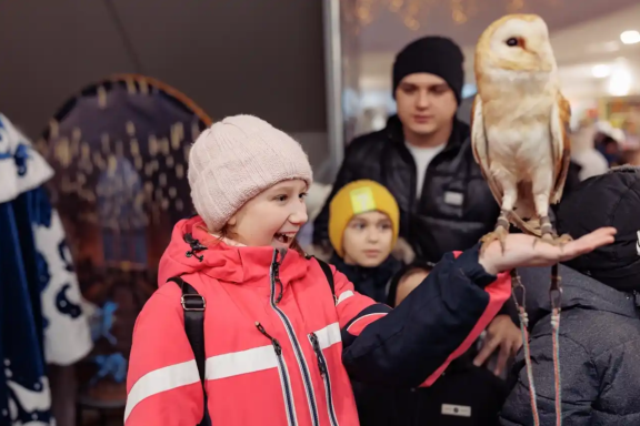 Магический экспресс