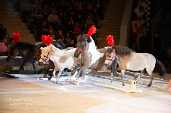 Новый год в Стране чудес