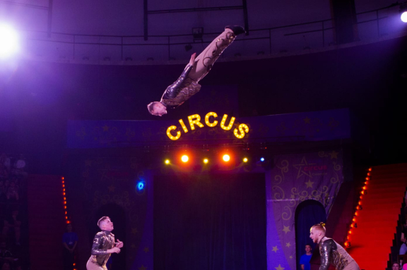 Новый год в Стране чудес