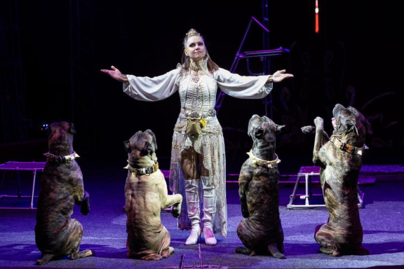 Новый год в Стране чудес