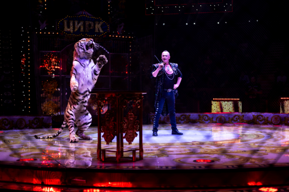 Новый год в Стране чудес